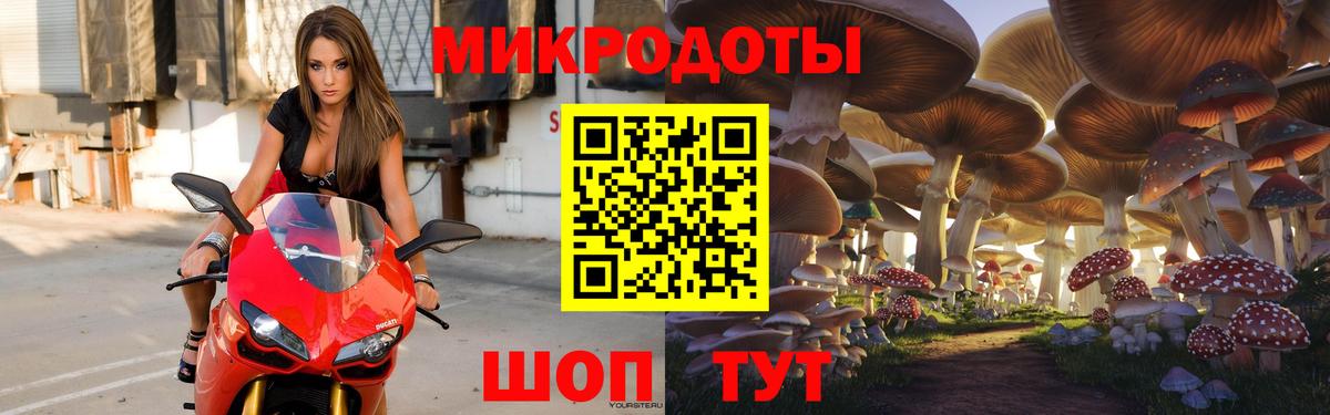 Богородск  Псилоцибиновые грибы GOLDEN TEACHER  Вход с VPN 