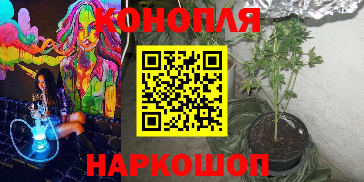 Богородск  Бошки Шишки THC 21%  Шишки марихуана Ganja  Вход с VPN  Канабис White Widow 
